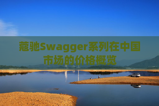 蔻驰Swagger系列在中国市场的价格概览