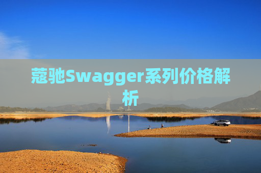 蔻驰Swagger系列价格解析